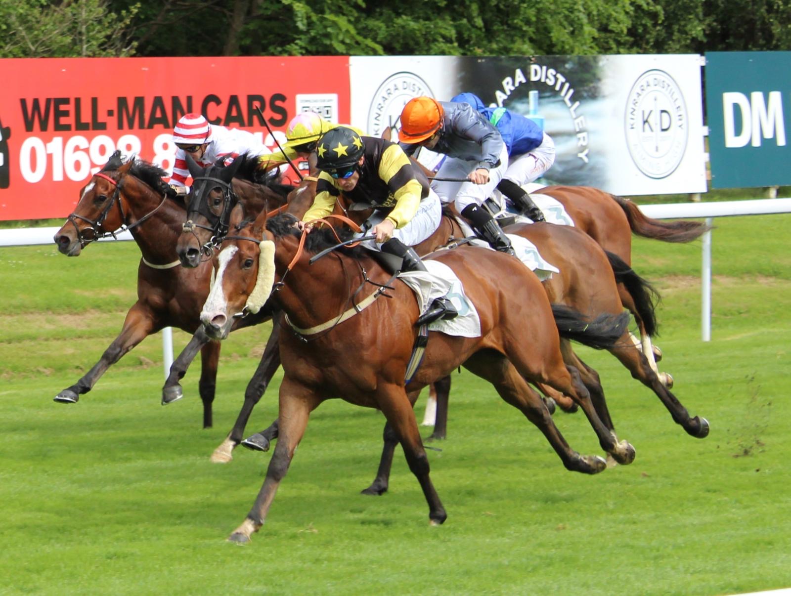 Johnnie Delta Racing horse challenging in a close finish