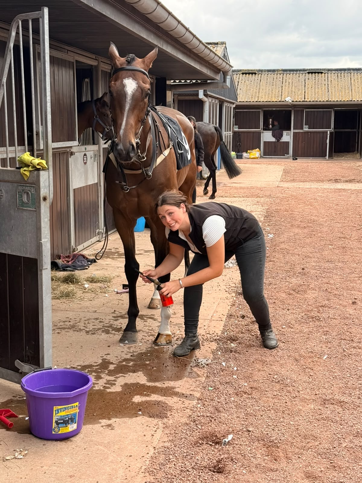 Care and attention for a racehorse at the JDR yard