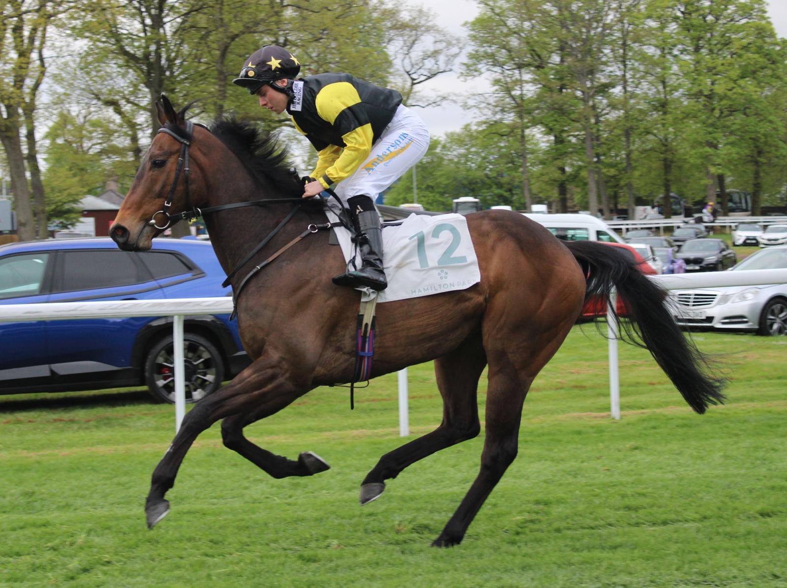 JDR racehorse cantering to post at Hamilton Park