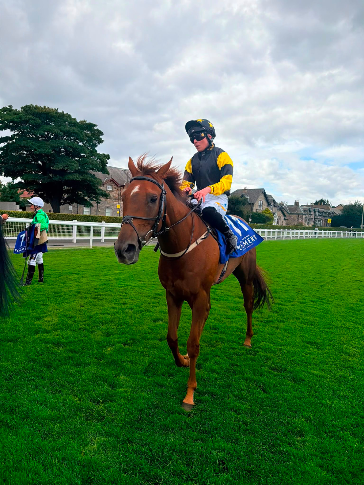 JDR chestnut horse and jockey in the paddock